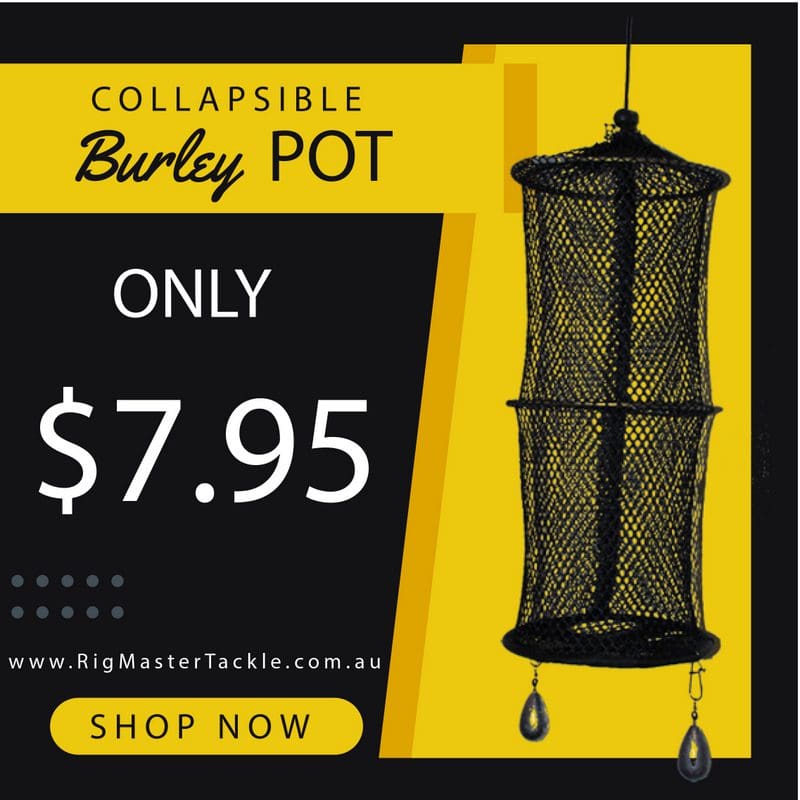 Online Fishing Tackle Store Australia Rig Master Tackle